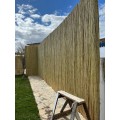 Bambu rulo 