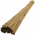 doğal bambu 