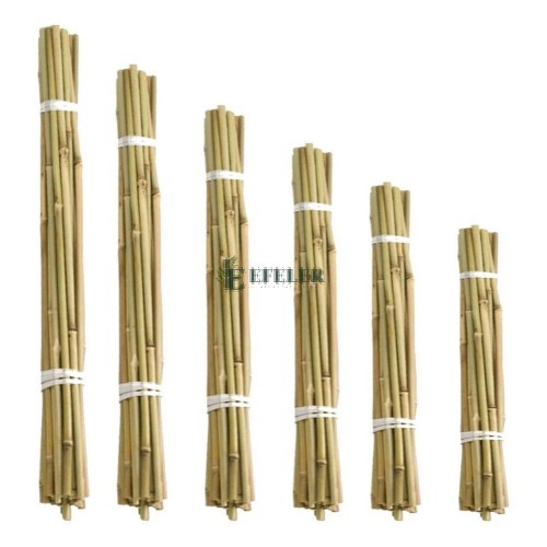 bambu adet satış 