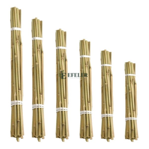 doğal bambu 