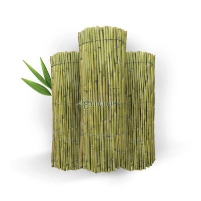 Bambu rulo 