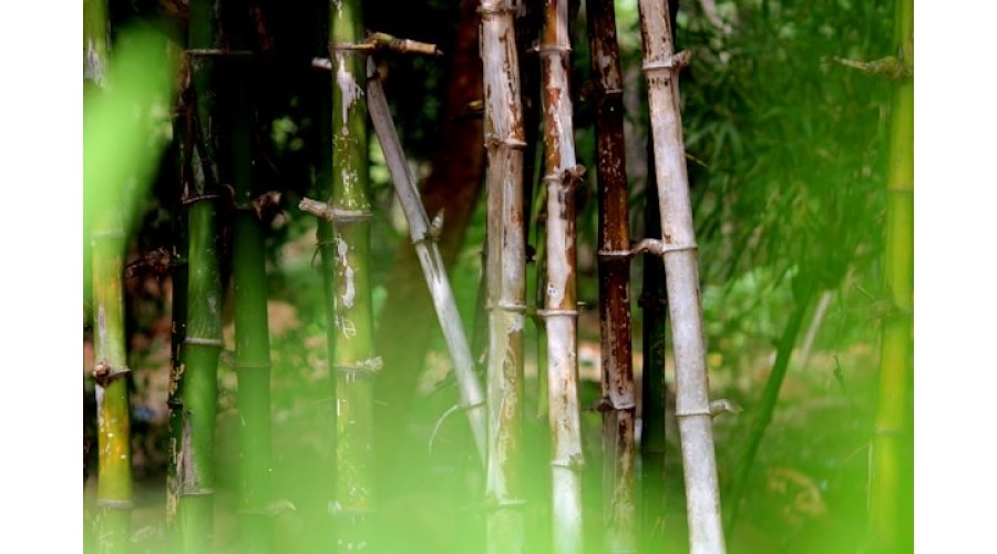 Bambu Çit Montajı Nasıl Yapılır?