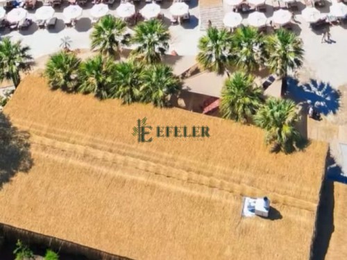 Beach club iskelesi ve kamış çatılı alanın havadan görünümü